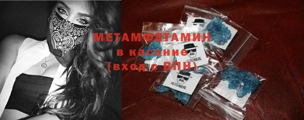 PSILOCYBIN Болотное