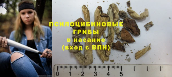 соль ск Бутурлиновка