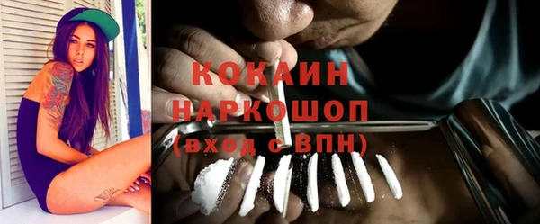 крисы Болохово