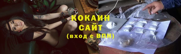 PSILOCYBIN Болотное