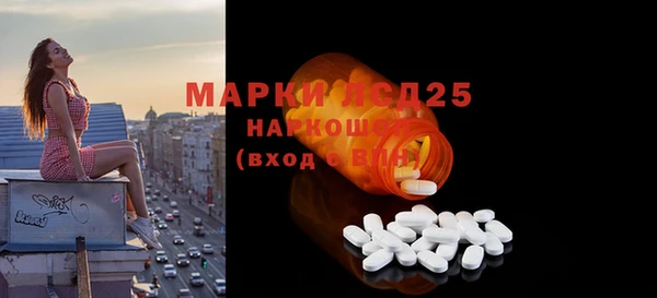 PSILOCYBIN Болотное