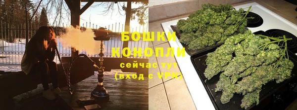 PSILOCYBIN Болотное